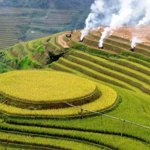 Khám Phá Đồi Mâm Xôi La Pán Tẩn – Hướng Dẫn Du Lịch Yên Bái Khám Phá Đồi Mâm Xôi La Pán Tẩn – Hướng Dẫn Du Lịch Yên Bái