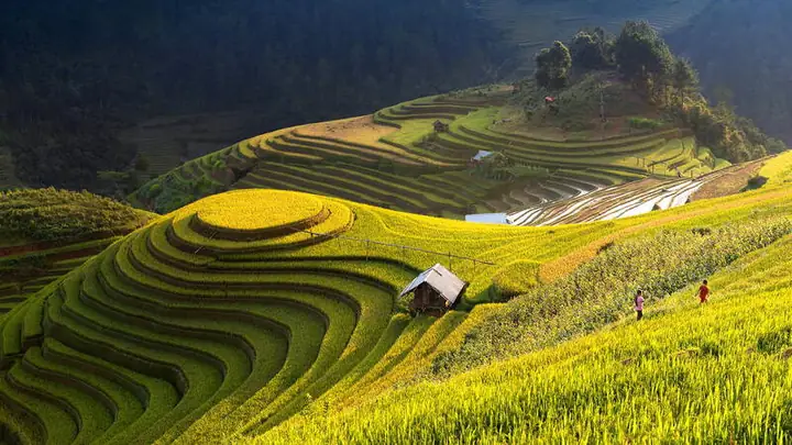 Khám Phá Đồi Mâm Xôi La Pán Tẩn – Hướng Dẫn Du Lịch Yên Bái Khám Phá Đồi Mâm Xôi La Pán Tẩn – Hướng Dẫn Du Lịch Yên Bái