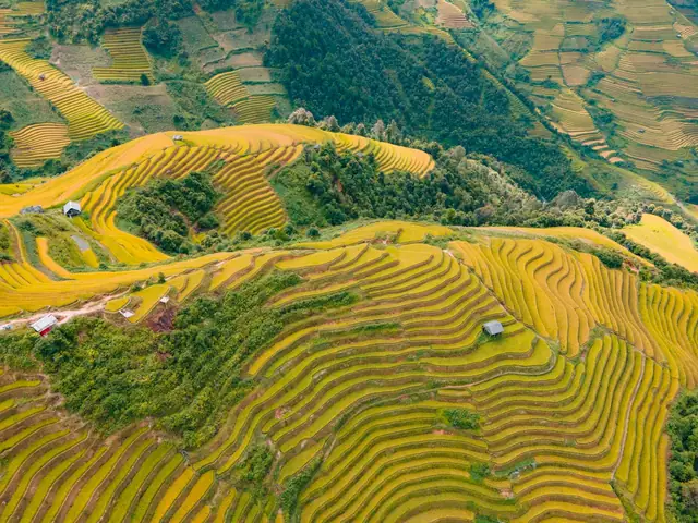 Khám Phá Đồi Mâm Xôi La Pán Tẩn – Hướng Dẫn Du Lịch Yên Bái Khám Phá Đồi Mâm Xôi La Pán Tẩn – Hướng Dẫn Du Lịch Yên Bái