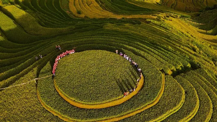 Khám Phá Đồi Mâm Xôi La Pán Tẩn – Hướng Dẫn Du Lịch Yên Bái Khám Phá Đồi Mâm Xôi La Pán Tẩn – Hướng Dẫn Du Lịch Yên Bái