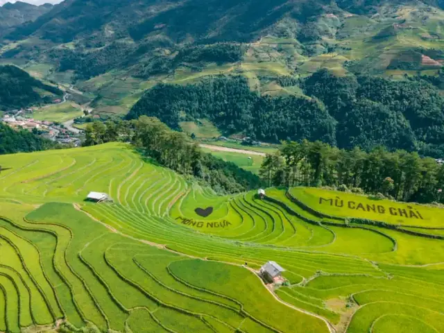 Đồi Móng Ngựa Mù Cang Chải: Tổng Quan Về Địa Danh Thiên Nhiên Độc Đáo Ở Việt Nam