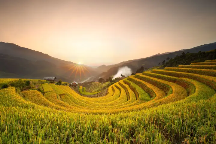 Đồi Móng Ngựa Mù Cang Chải: Tổng Quan Về Địa Danh Thiên Nhiên Độc Đáo Ở Việt Nam Đồi Móng Ngựa Mù Cang Chải: Tổng Quan Về Địa Danh Thiên Nhiên Độc Đáo Ở Việt Nam