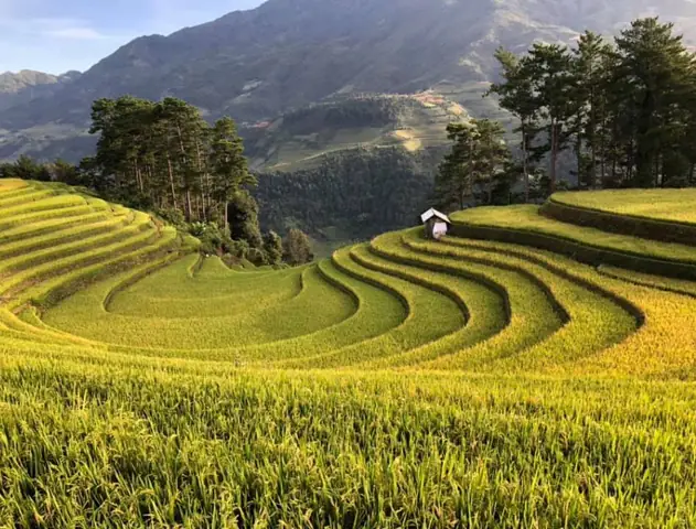 Đồi Móng Ngựa Mù Cang Chải: Tổng Quan Về Địa Danh Thiên Nhiên Độc Đáo Ở Việt Nam Đồi Móng Ngựa Mù Cang Chải: Tổng Quan Về Địa Danh Thiên Nhiên Độc Đáo Ở Việt Nam
