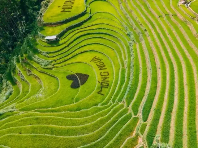 Đồi Móng Ngựa Mù Cang Chải: Tổng Quan Về Địa Danh Thiên Nhiên Độc Đáo Ở Việt Nam Đồi Móng Ngựa Mù Cang Chải: Tổng Quan Về Địa Danh Thiên Nhiên Độc Đáo Ở Việt Nam