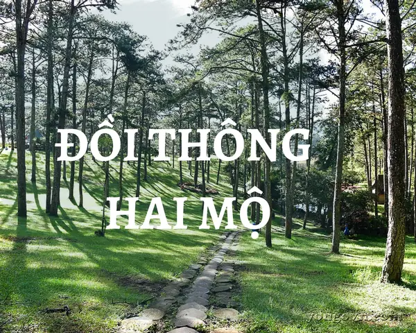 Đồi Thông Hai Mộ Đà Lạt - Cẩm Nang Khám Phá Điểm Đến Lịch Sử Buồn