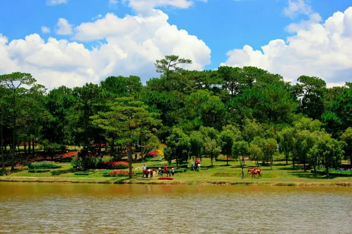 Đồi Thông Hai Mộ Đà Lạt - Cẩm Nang Khám Phá Điểm Đến Lịch Sử Buồn