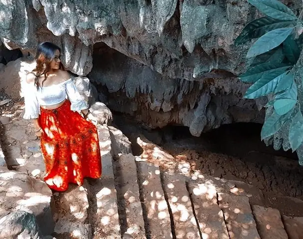 Khám Phá Đồi Thông Nho Quan: Hướng Dẫn Du Lịch Xanh Gia Đình