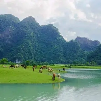 Thảo Nguyên Đồng Lâm Lạng Sơn: Cẩm Nang Khám Phá Thiên Đường Nước Giữa Lòng Núi Thảo Nguyên Đồng Lâm Lạng Sơn: Cẩm Nang Khám Phá Thiên Đường Nước Giữa Lòng Núi