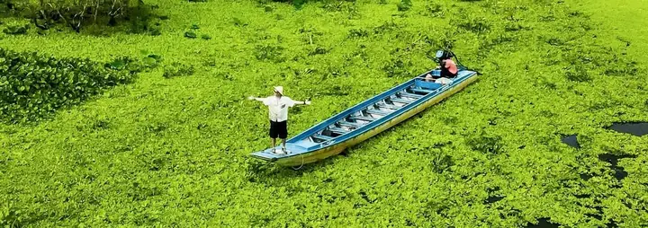 Hướng Dẫn Du Lịch An Giang Tự Túc: Lịch Trình & Chi Phí