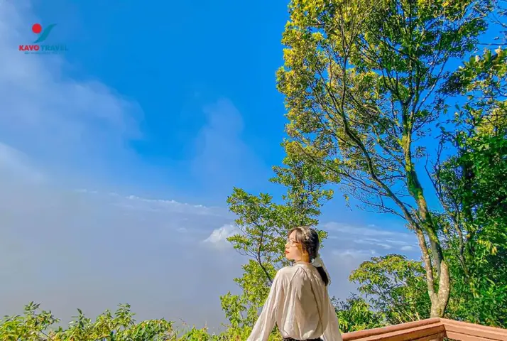 Du Lịch Ba Vì: Kinh Nghiệm, Lịch Trình & Địa Điểm