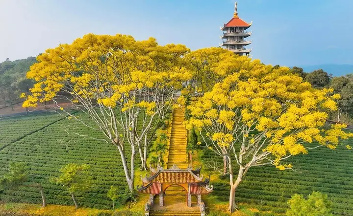 Du Lịch Bảo Lộc Có Gì? Khám Phá Điểm Đến Hấp Dẫn Của Tây Nguyên Du Lịch Bảo Lộc Có Gì? Khám Phá Điểm Đến Hấp Dẫn Của Tây Nguyên