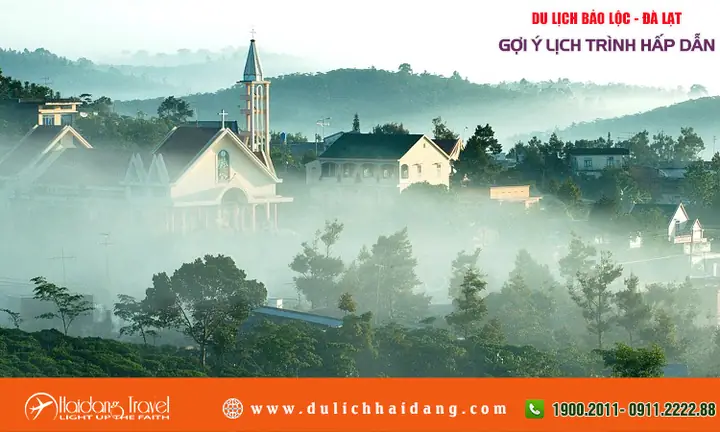Cẩm Nang Du Lịch Bảo Lộc - Đà Lạt: Trải Nghiệm Tuyệt Vời Từ Đồi Chè Đến Thành Phố Ngàn Hoa