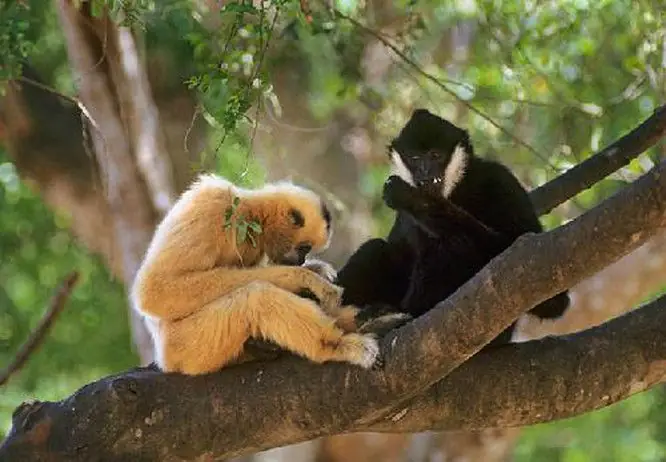 Cẩm Nang Du Lịch Bến En Thanh Hóa: Khám Phá "hạ Long Trên Cạn"