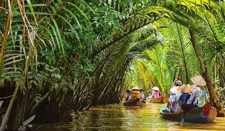 Du Lịch Bến Tre Có Gì? Khám Phá Những Điểm Đến Hấp Dẫn