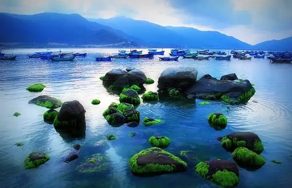 Du Lịch Bình Hưng Cam Ranh: Hướng Dẫn Chi Tiết Cho Du Khách Du Lịch Bình Hưng Cam Ranh: Hướng Dẫn Chi Tiết Cho Du Khách