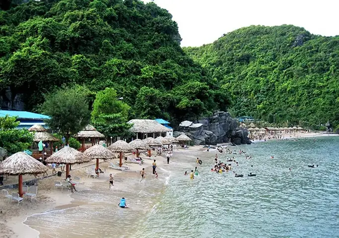 Lập Lịch Trình Du Lịch Cát Bà 2 Ngày 1 Đêm Cho Nhóm Bạn