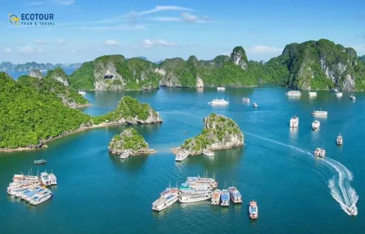 Lập Lịch Trình Du Lịch Cát Bà 2 Ngày 1 Đêm Cho Nhóm Bạn