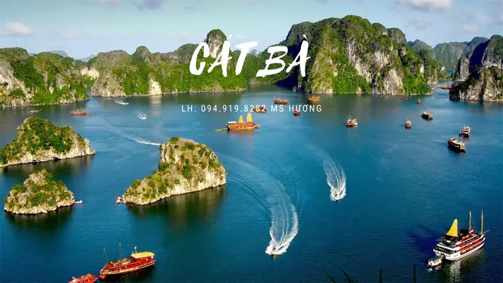 Lập Lịch Trình Du Lịch Cát Bà 2 Ngày 1 Đêm Cho Nhóm Bạn