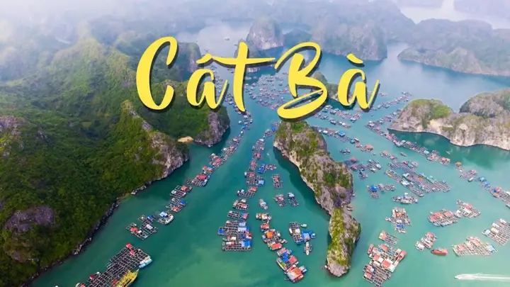 Lên Kế Hoạch Du Lịch Cát Bà: Hướng Dẫn Chi Tiết Cho Người Mới
