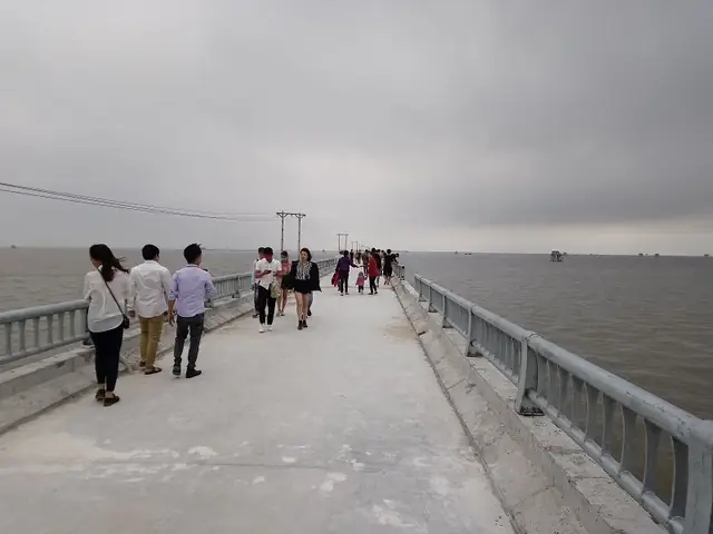 Cồn Nổi Ninh Bình: Cẩm Nang Du Lịch Sinh Thái Đến Thiên Đường Ven Biển