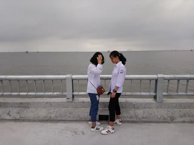 Cồn Nổi Ninh Bình: Cẩm Nang Du Lịch Sinh Thái Đến Thiên Đường Ven Biển