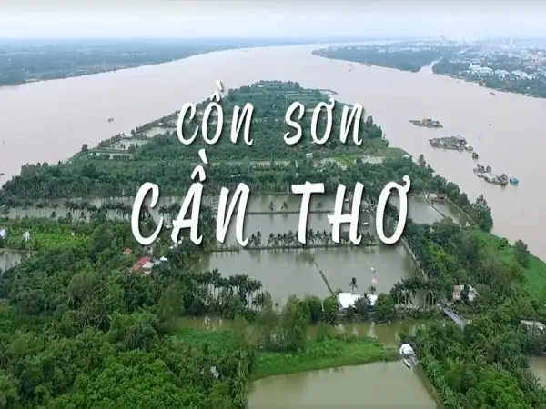 Khám Phá Cồn Sơn Cần Thơ: Hướng Dẫn Du Lịch Chi Tiết