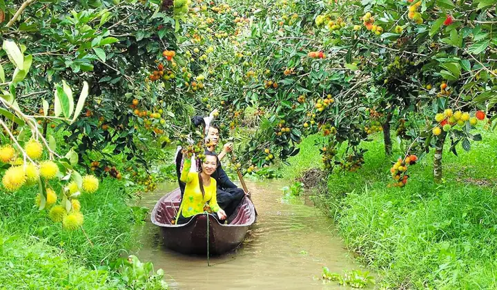 Khám Phá Cồn Sơn Cần Thơ: Hướng Dẫn Du Lịch Chi Tiết