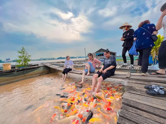 Khám Phá Cồn Sơn Cần Thơ: Hướng Dẫn Du Lịch Chi Tiết