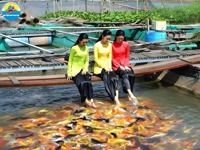 Khám Phá Cồn Sơn Cần Thơ: Hướng Dẫn Du Lịch Chi Tiết