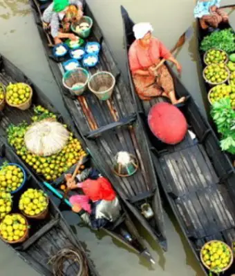 Cù Lao Tân Phong: Hướng Dẫn Du Lịch Chi Tiết 2 Ngày 1 Đêm
