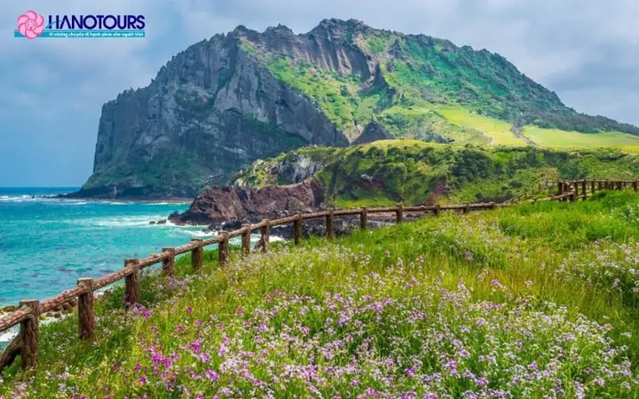Hướng Dẫn Du Lịch Tự Túc Đảo Jeju Cho Người Mới Bắt Đầu