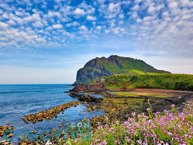 Hướng Dẫn Du Lịch Tự Túc Đảo Jeju Cho Người Mới Bắt Đầu