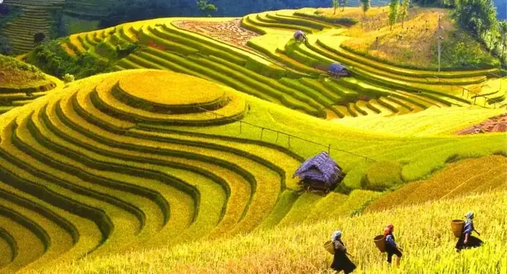 Khám Phá 13 Điểm Du Lịch Điện Biên Không Thể Bỏ Lỡ