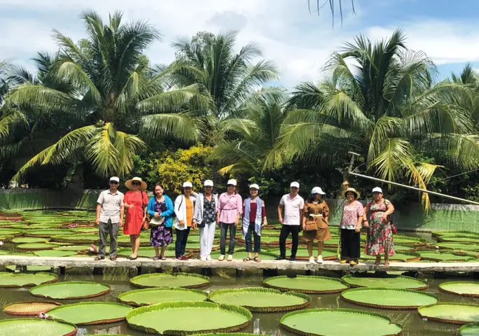 Du Lịch Đồng Tháp 2 Ngày 1 Đêm: Lịch Trình Chi Tiết, Kinh Nghiệm Và Mẹo Không Thể Bỏ Lỡ