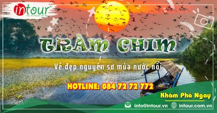 Du Lịch Đồng Tháp 2 Ngày 1 Đêm: Lịch Trình Chi Tiết, Kinh Nghiệm Và Mẹo Không Thể Bỏ Lỡ
