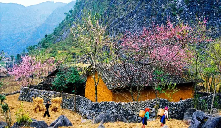 Du Lịch Hà Giang Mùa Nào Đẹp Nhất? Tổng Hợp Kinh Nghiệm Từ A-z Du Lịch Hà Giang Mùa Nào Đẹp Nhất? Tổng Hợp Kinh Nghiệm Từ A-z