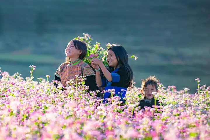 Du Lịch Hà Giang Mùa Nào Đẹp Nhất? Tổng Hợp Kinh Nghiệm Từ A-z Du Lịch Hà Giang Mùa Nào Đẹp Nhất? Tổng Hợp Kinh Nghiệm Từ A-z