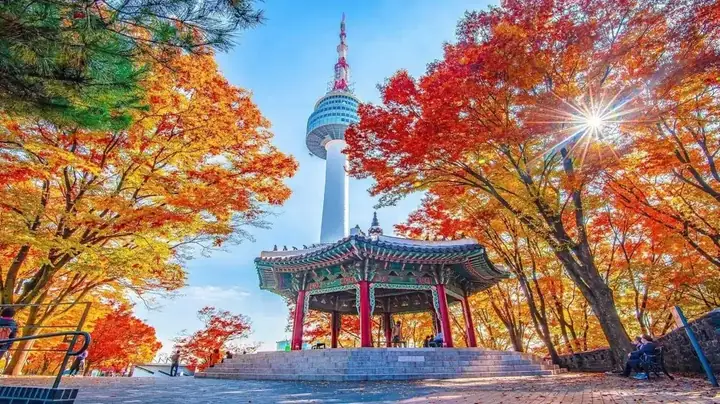Du Lịch Hàn Quốc Tự Túc 7 Ngày: Kế Hoạch Chi Tiết Từ A-z Cho Người Mới