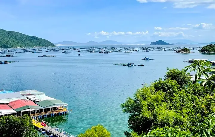 Cẩm Nang Du Lịch Hòn Nưa Phú Yên Tự Túc 2026
