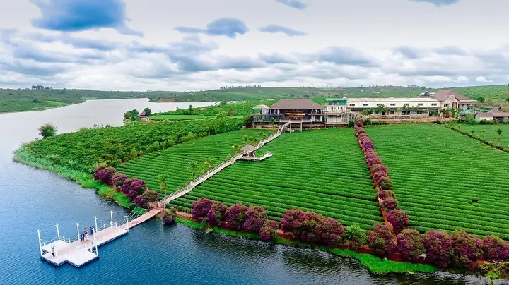 Cẩm Nang Du Lịch Lâm Hà Lâm Đồng: Khám Phá Vùng Đất Cao Nguyên Hoang Sơ