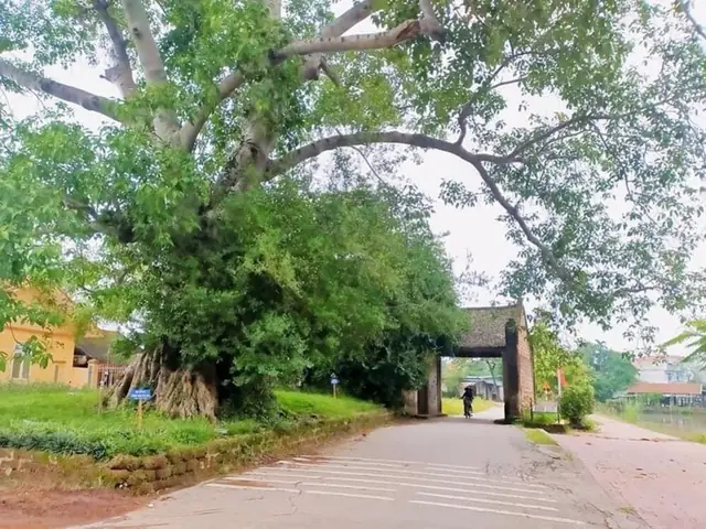 Cẩm Nang Du Lịch Làng Cổ Đường Lâm Toàn Tập