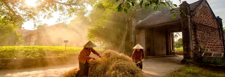 Cẩm Nang Du Lịch Làng Cổ Đường Lâm Toàn Tập