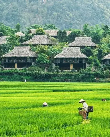 Kinh Nghiệm Du Lịch Mai Châu: Từ A-z Cho Chuyến Đi Hoàn Hảo