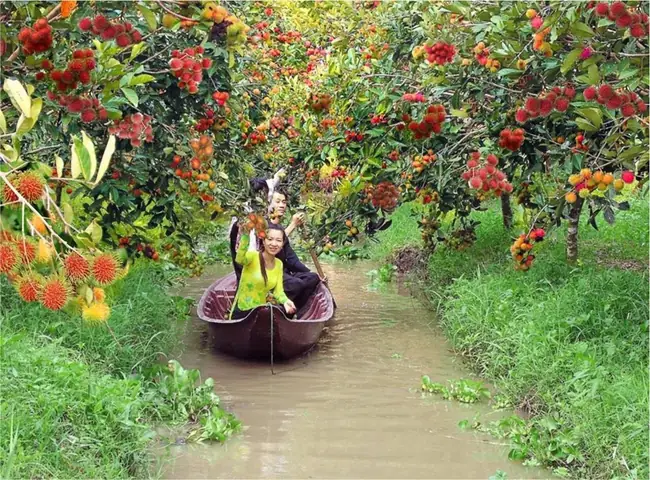 Du Lịch Miệt Vườn: Tất Tần Tật Về Loại Hình Du Lịch Đặc Sắc Miền Tây