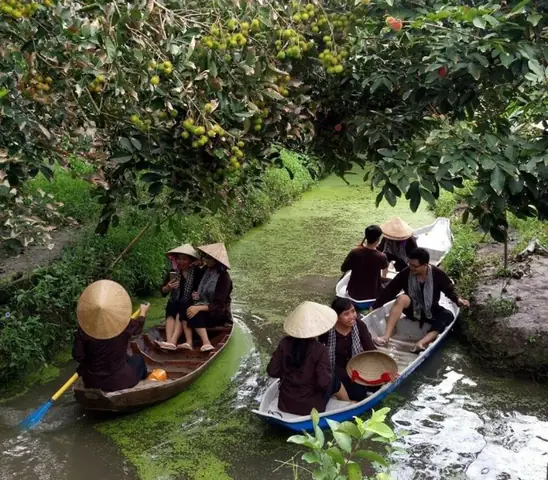 Du Lịch Miệt Vườn: Tất Tần Tật Về Loại Hình Du Lịch Đặc Sắc Miền Tây
