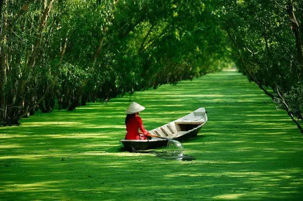 Du Lịch Miệt Vườn Vĩnh Long: Khám Phá Vẻ Đẹp Đồng Ruộng Sông Nước Du Lịch Miệt Vườn Vĩnh Long: Khám Phá Vẻ Đẹp Đồng Ruộng Sông Nước