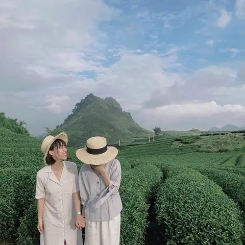 Du Lịch Mộc Châu Tháng 3: Hướng Dẫn Chi Tiết Từ A Đến Z Du Lịch Mộc Châu Tháng 3: Hướng Dẫn Chi Tiết Từ A Đến Z
