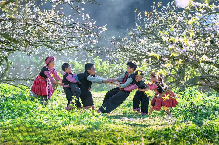 Du Lịch Mộc Châu Tháng 3: Hướng Dẫn Chi Tiết Từ A Đến Z Du Lịch Mộc Châu Tháng 3: Hướng Dẫn Chi Tiết Từ A Đến Z