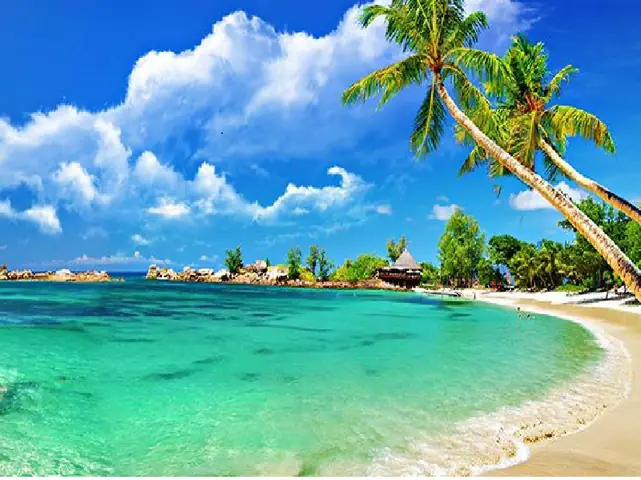 Cẩm Nang Du Lịch Mũi Né Phan Thiết: Khám Phá Vùng Biển Xanh Cát Vàng