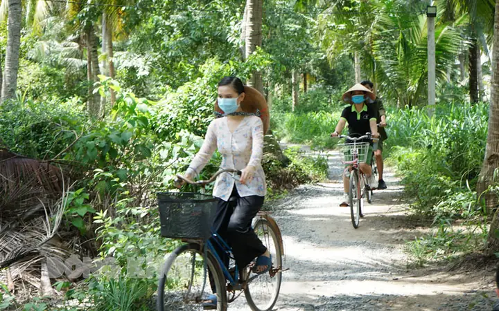 Cẩm Nang Du Lịch Bến Tre: Khám Phá Vương Quốc Dừa Xanh Miền Tây